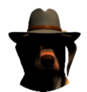 Doctor Vet - Software de gestión veterinaria en la nube